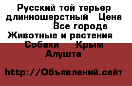 Русский той-терьер длинношерстный › Цена ­ 7 000 - Все города Животные и растения » Собаки   . Крым,Алушта